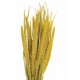 SPRAY MILLET 28" Yellow- OUT OF STOCK